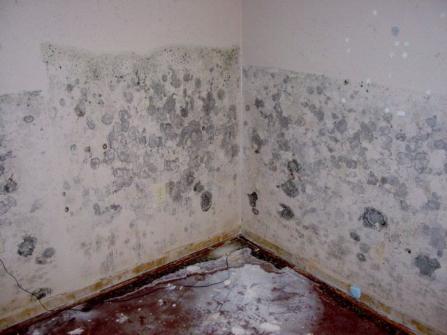 Nguyên nhân gây bong tróc, phồng rộp sơn tường