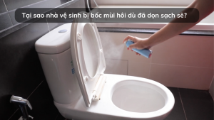 Tại sao nhà vệ sinh bị bốc mùi hôi dù đã dọn sạch sẽ?