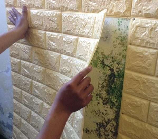 Sử dụng giấy dán tường để chống ẩm mốc