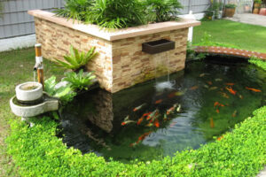 Xây hồ cá trước nhà, vừa đẹp và hợp phong thủy