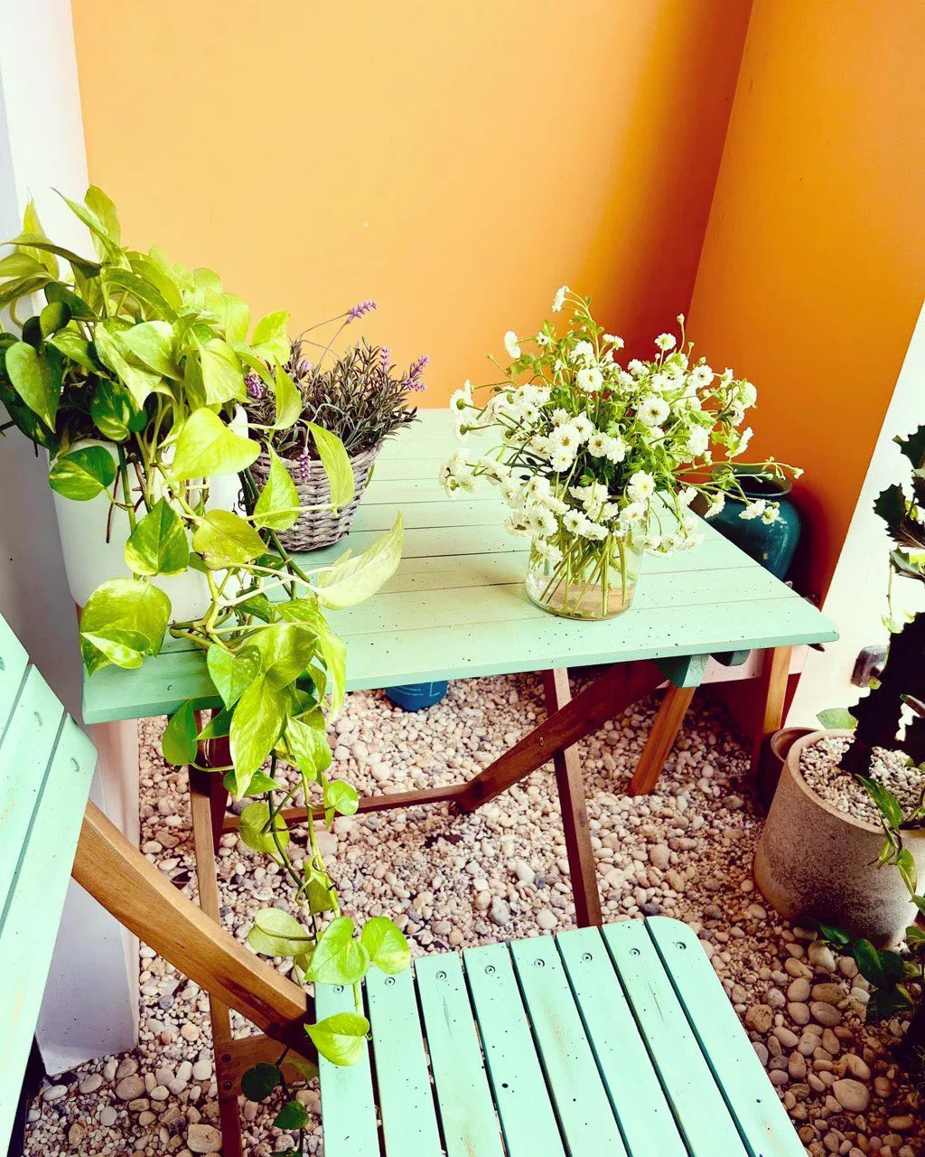 Các yếu tố ảnh hưởng
